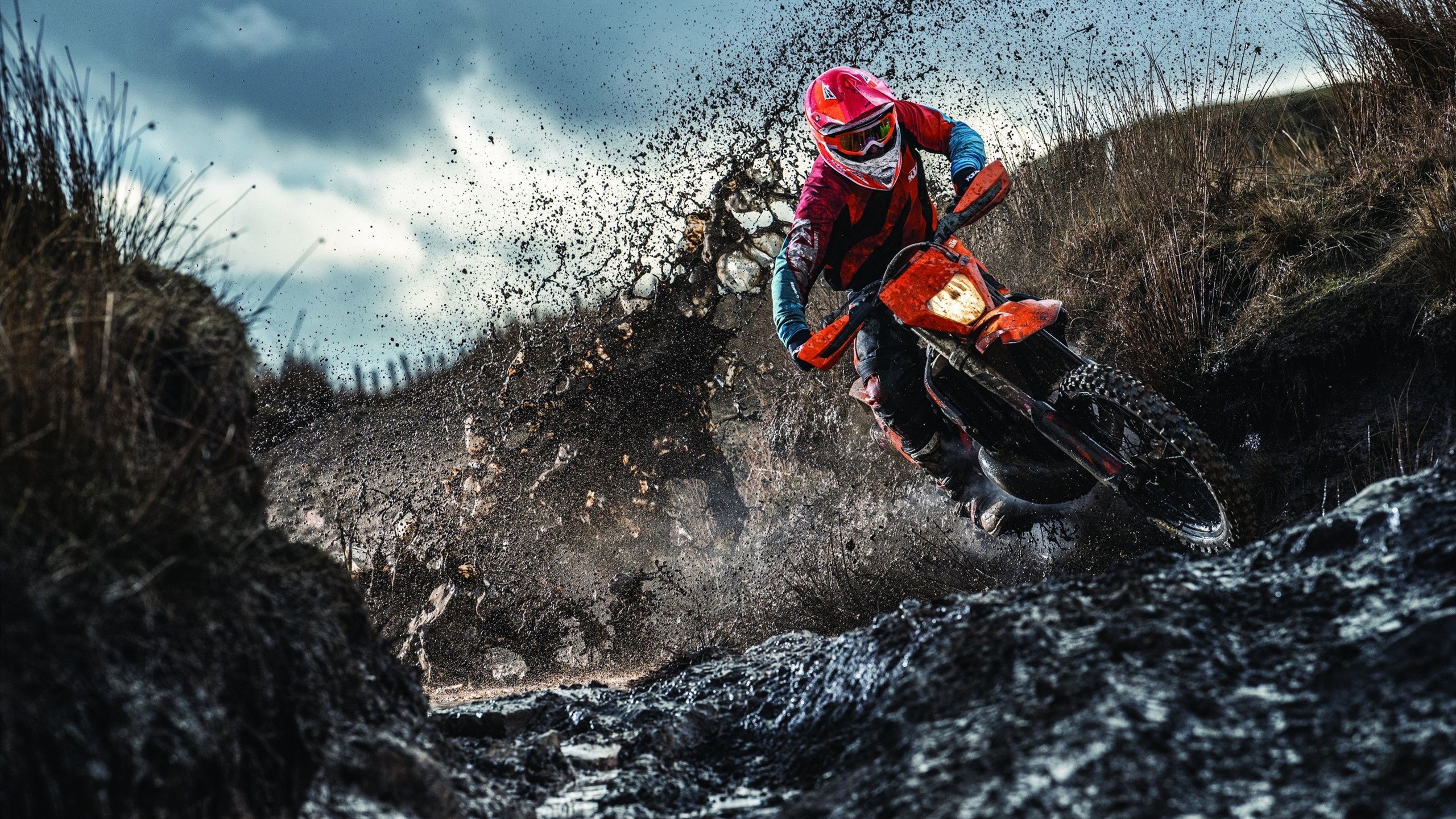 公牛核心低迷，球队未来陷入迷雾，公牛成员名单