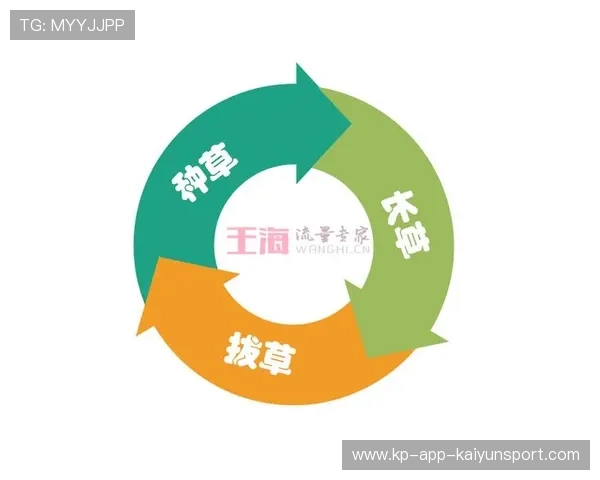 建立体育新闻标签化分类管理体系平台，体育标签图